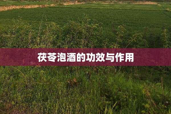 茯苓泡酒的功效与作用