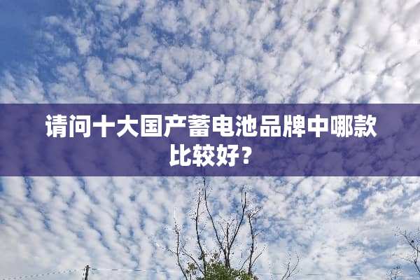 请问十大国产蓄电池品牌中哪款比较好？