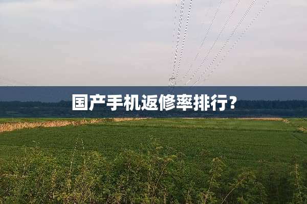 国产手机返修率排行？