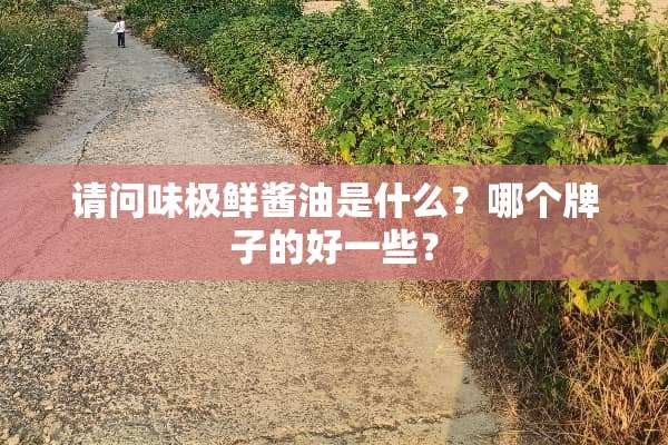 请问味极鲜酱油是什么？哪个牌子的好一些？