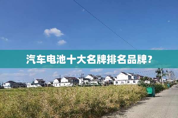 汽车电池十大名牌排名品牌？