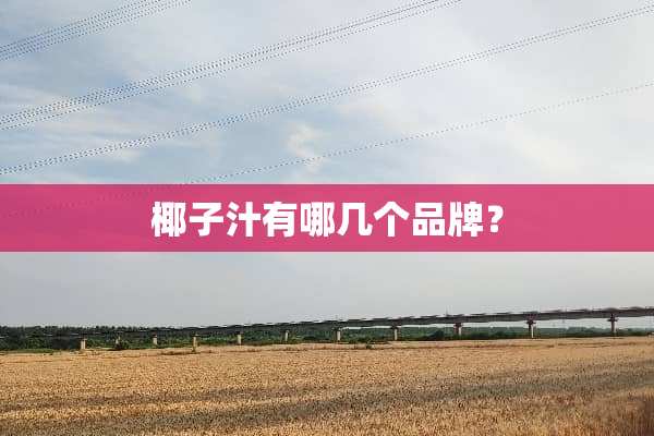 椰子汁有哪几个品牌？