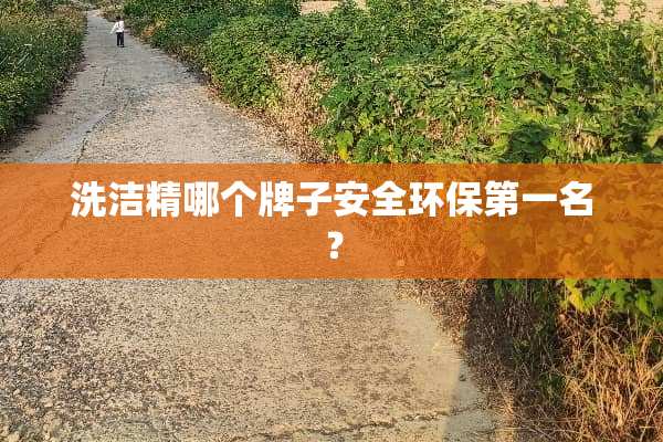 洗洁精哪个牌子安全环保第一名？