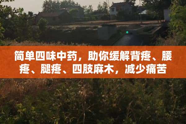 简单四味中药，助你缓解背疼、腰疼、腿疼、四肢麻木，减少痛苦