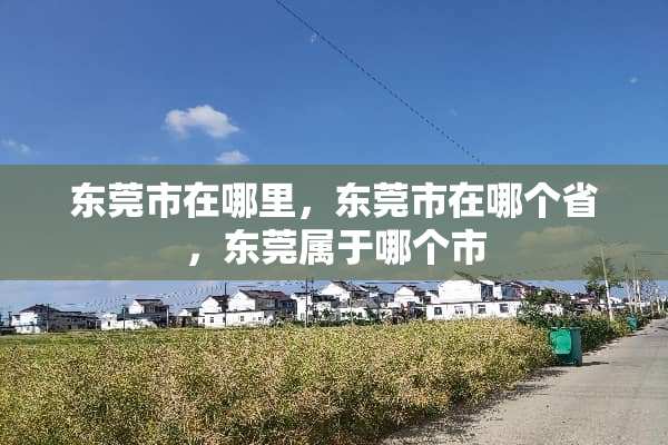 东莞市在哪里，东莞市在哪个省，东莞属于哪个市