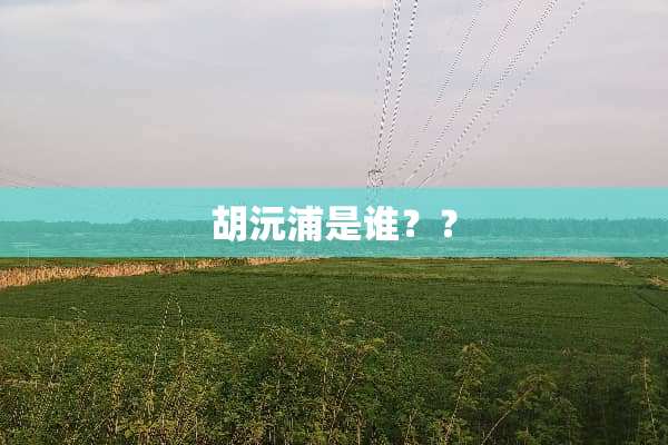 胡沅浦是谁？？