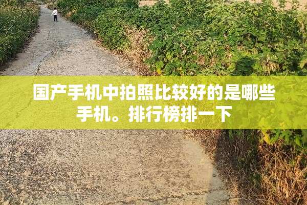 国产手机中拍照比较好的是哪些手机。排行榜排一下