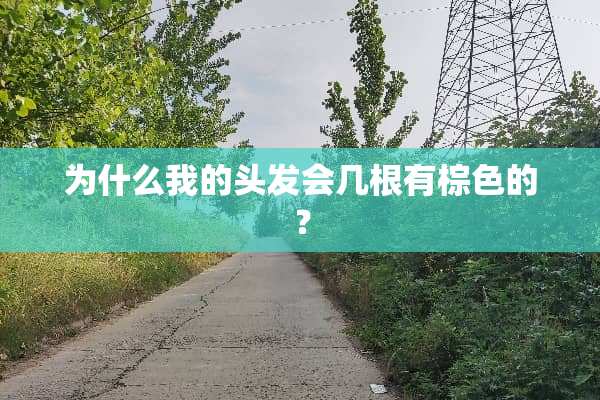 为什么我的头发会几根有棕色的？