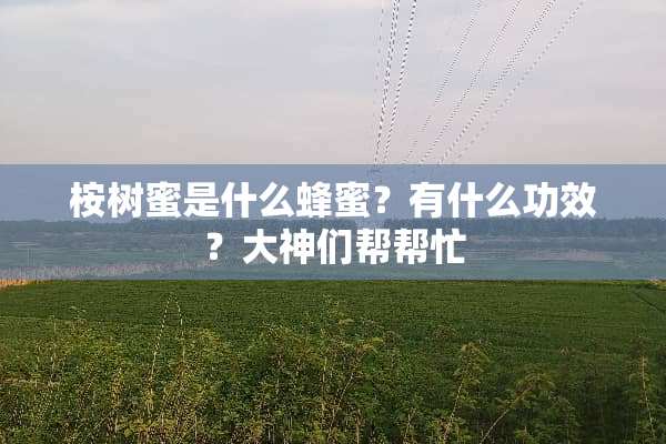 桉树蜜是什么蜂蜜？有什么功效？大神们帮帮忙