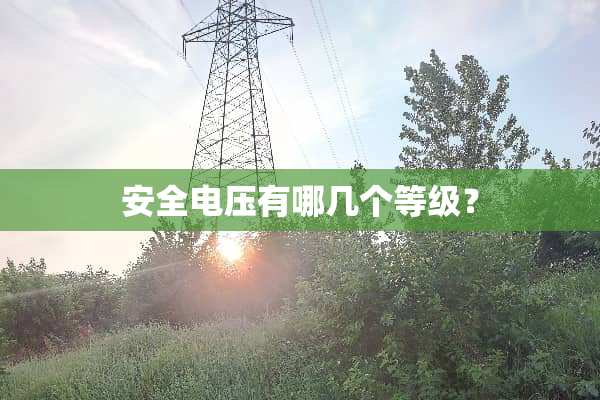 安全电压有哪几个等级？