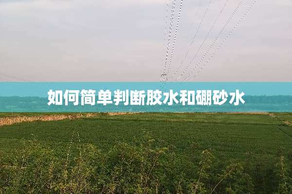 如何简单判断胶水和硼砂水