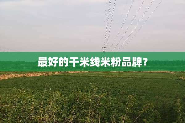 最好的干米线米粉品牌？