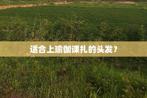 适合上瑜伽课扎的头发？