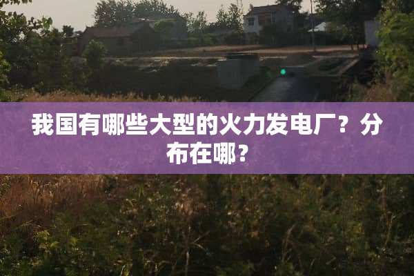 我国有哪些大型的火力发电厂？分布在哪？