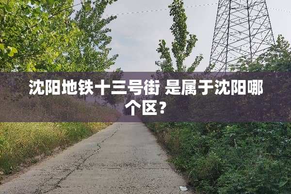 沈阳地铁十三号街 是属于沈阳哪个区？