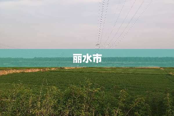 丽水市