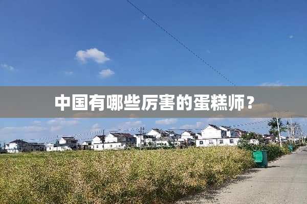 中国有哪些厉害的蛋糕师？