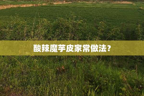 酸辣魔芋皮家常做法？