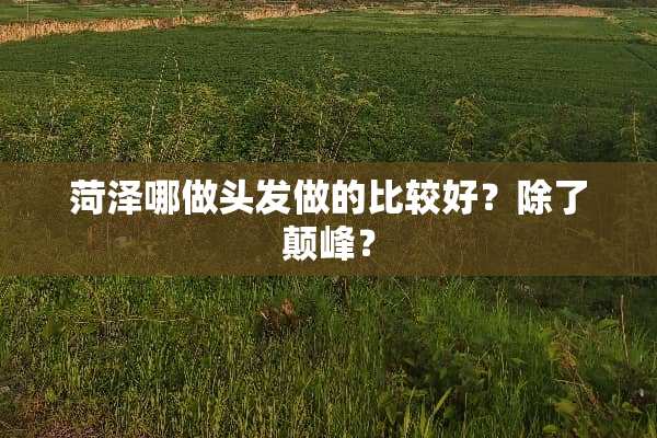菏泽哪做头发做的比较好？除了颠峰？