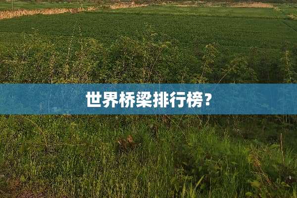 世界桥梁排行榜？