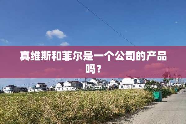 真维斯和菲尔是一个公司的产品吗？