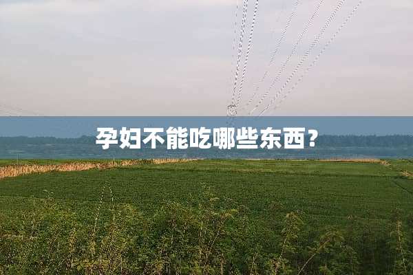 孕妇不能吃哪些东西？
