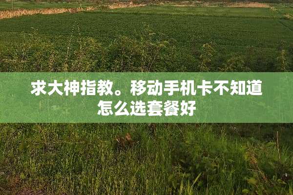 求大神指教。移动手机卡不知道怎么选套餐好