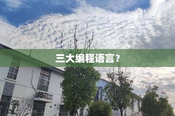 三大编程语言？