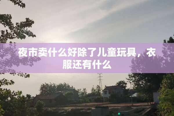 夜市卖什么好除了儿童玩具，衣服还有什么