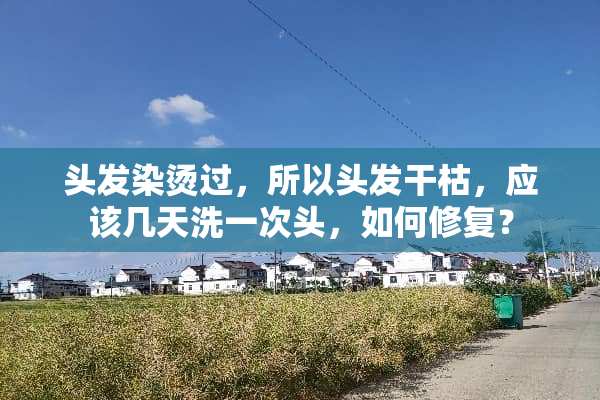 头发染烫过，所以头发干枯，应该几天洗一次头，如何修复？