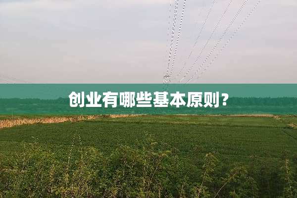 创业有哪些基本原则？