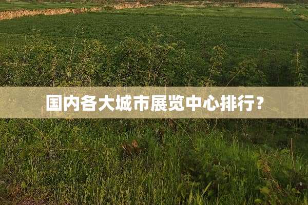 国内各大城市展览中心排行？