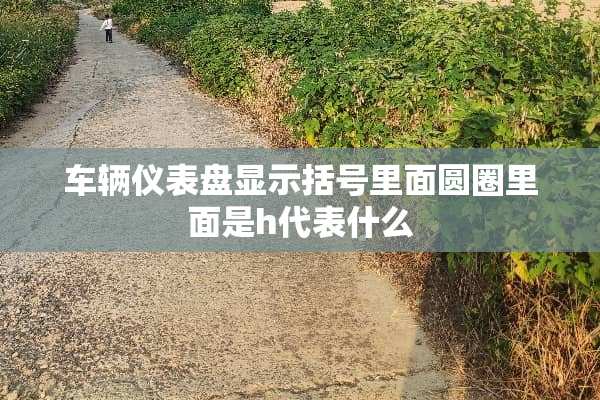 车辆仪表盘显示括号里面圆圈里面是h代表什么
