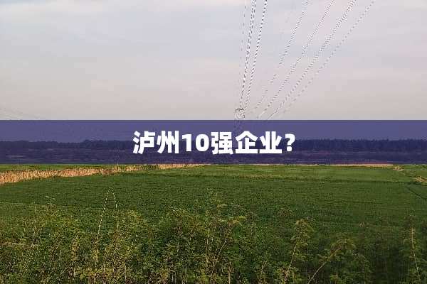 泸州10强企业？