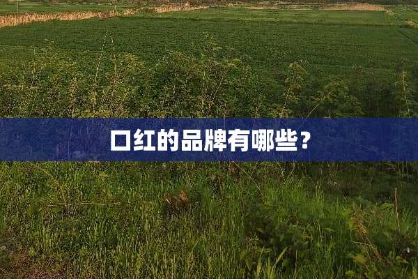 口红的品牌有哪些？