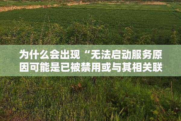 为什么会出现“无法启动服务原因可能是已被禁用或与其相关联的设备没有启动