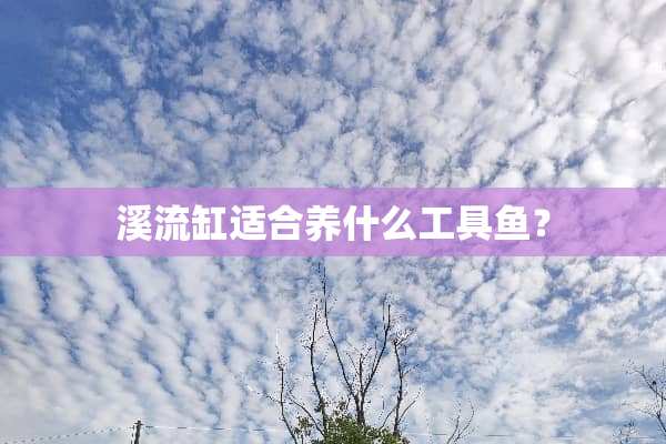 溪流缸适合养什么工具鱼？