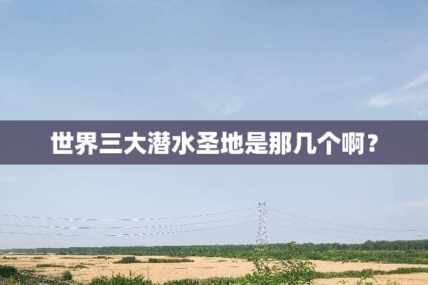 世界三大潜水圣地是那几个啊？