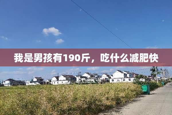 我是男孩有190斤，吃什么减肥快