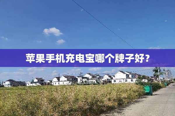 苹果手机充电宝哪个牌子好？
