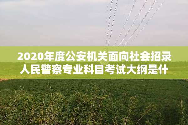 2020年度**机关面向社会招录人民**专业科目考试大纲是什么？
