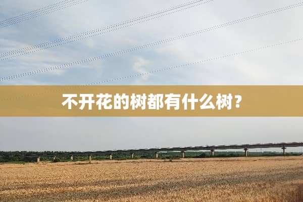 不开花的树都有什么树？