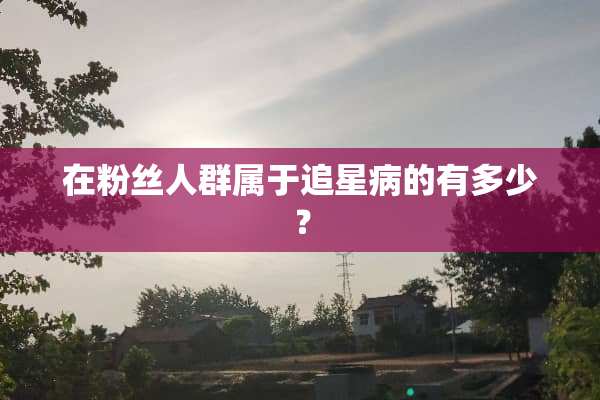 在粉丝人群属于追星病的有多少？