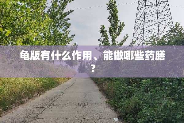 龟版有什么作用、能做哪些药膳？