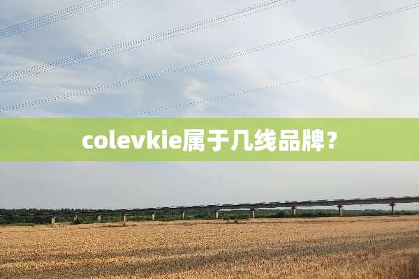 colevkie属于几线品牌？