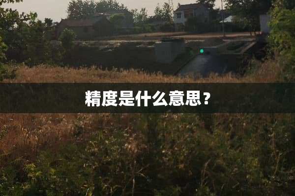 精度是什么意思？
