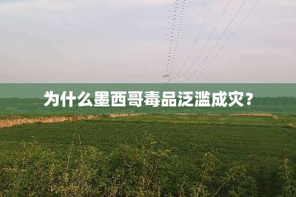 为什么墨西哥**泛滥成灾？