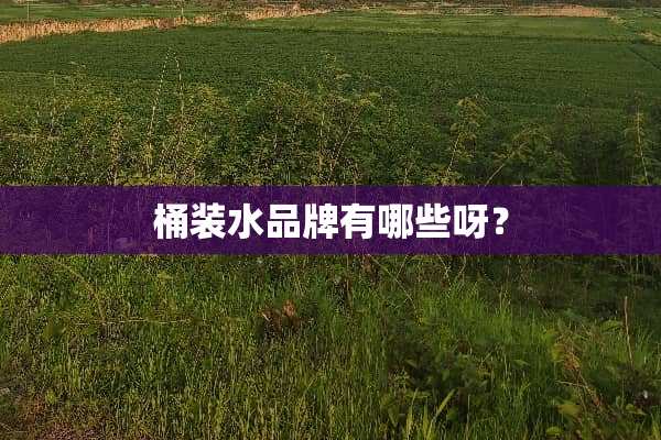 桶装水品牌有哪些呀？