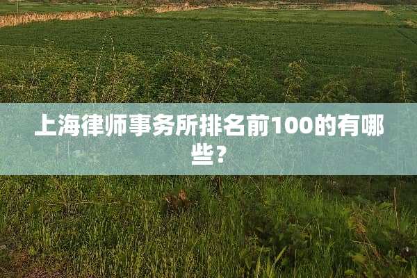 上海律师事务所排名前100的有哪些？