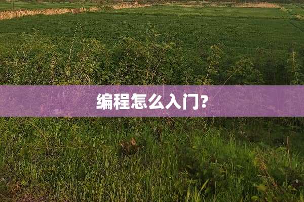 编程怎么入门？